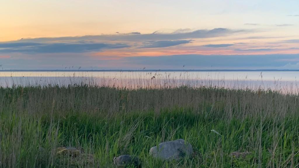 Strandliebe Am Stettiner Haff Grambin